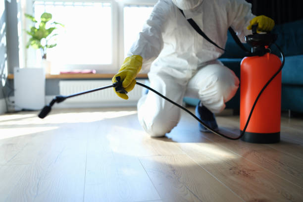 Reliable Biohazard Cleanup contractor in San Leandro, CA by Trauma Clean Pros